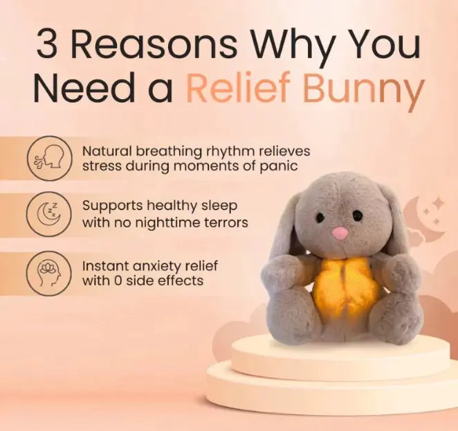 Rabbit Sensory Plush Toy