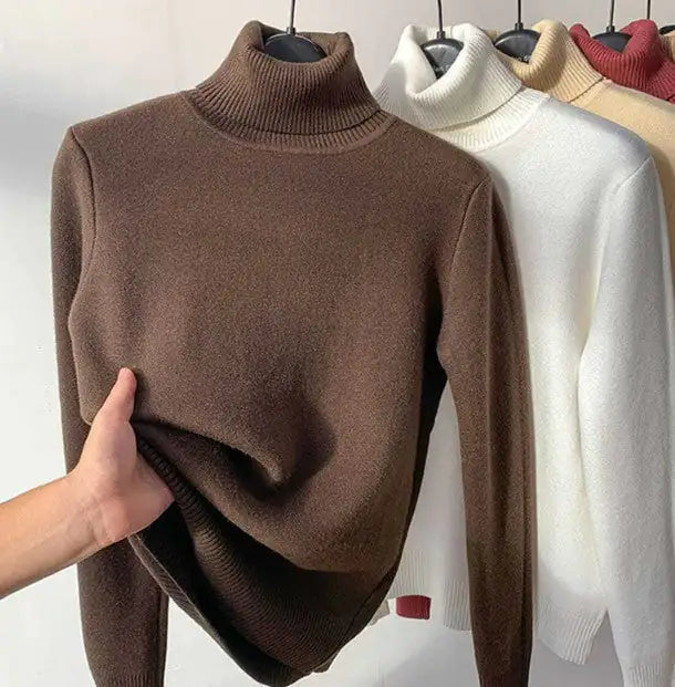 Elegant Turtle Neck Winter Sweater